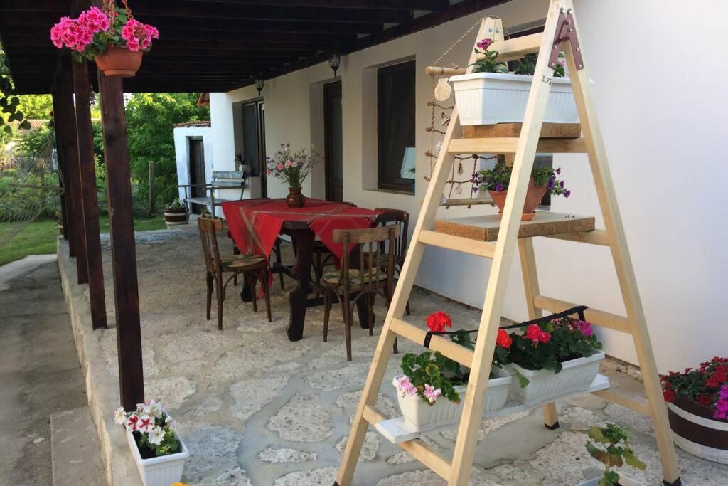 Guest House Kostadinovi Balgarevo Kültér fotó